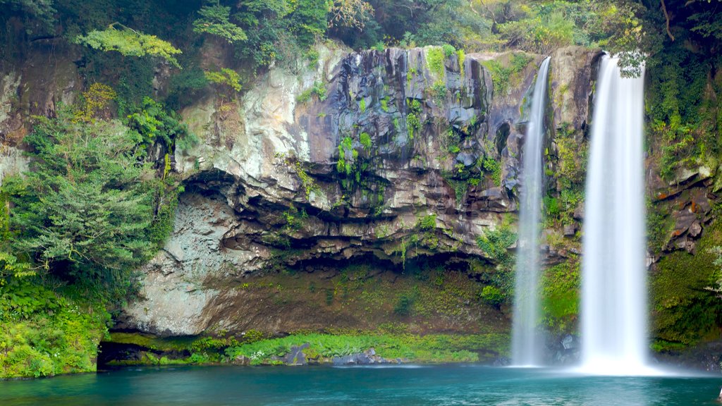 Cheonjiyeon Waterfall featuring a cascade