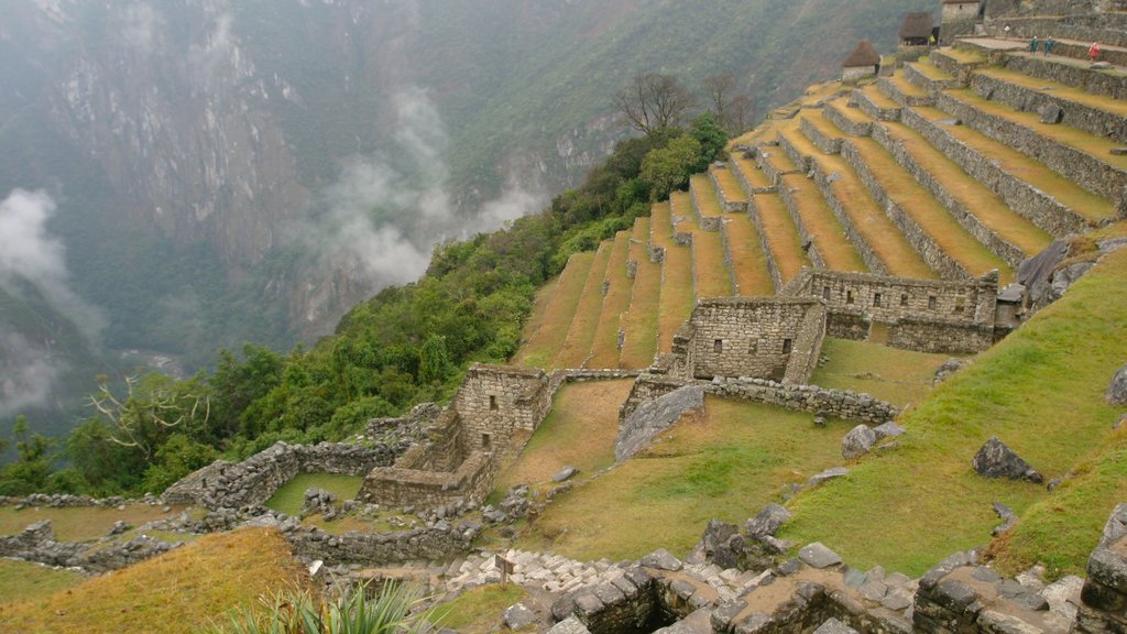 Machu Picchu featuring a ruin, mist or fog and mountains