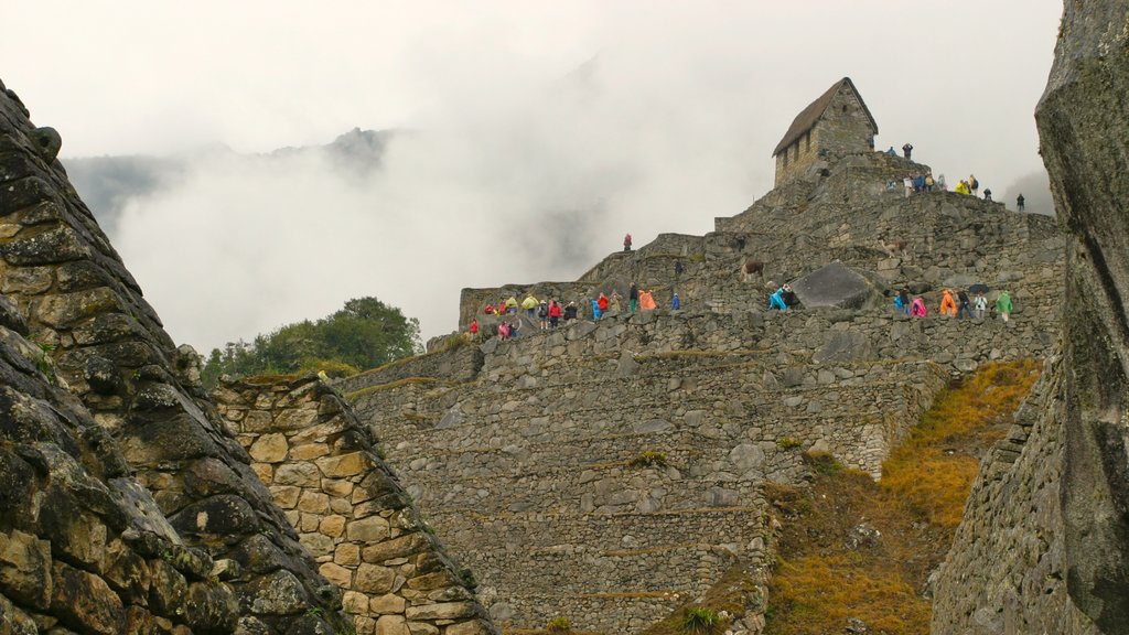 Machu Picchu mostrando escalada ou caminhada, neblina e uma ruína