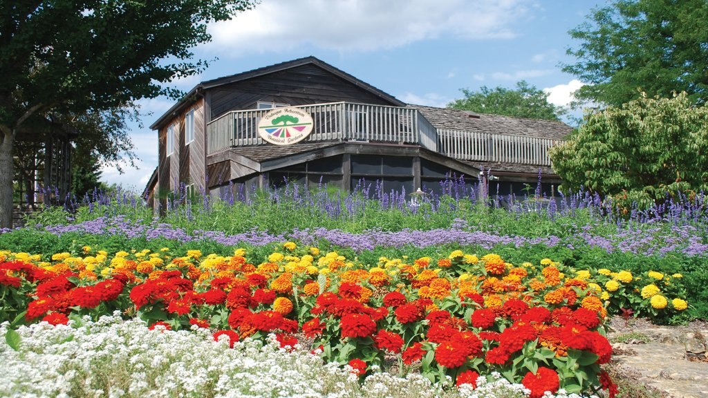 Downtown Dubuque showing a house, flowers and a park