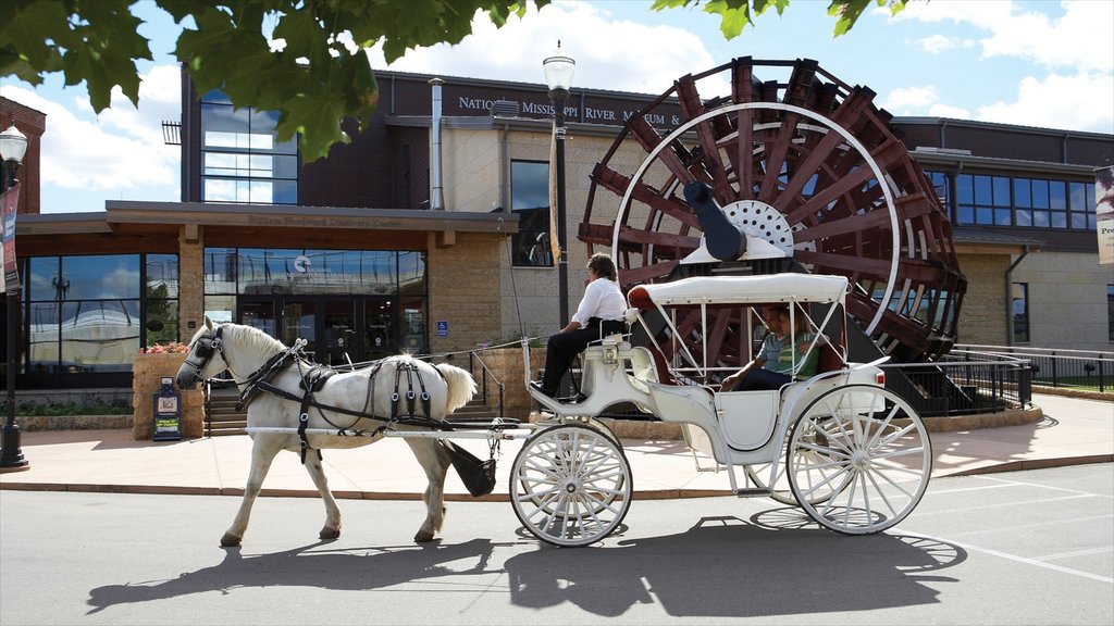 Downtown Dubuque showing land animals and street scenes