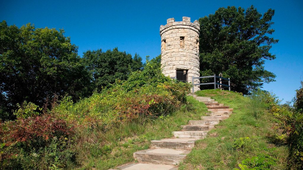 Downtown Dubuque featuring a monument and heritage elements