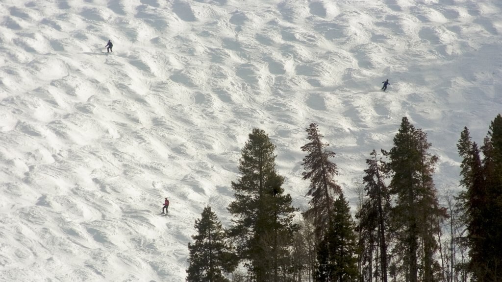 Vail Ski Resort showing snow skiing and snow