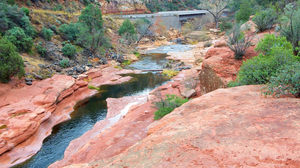 Slide Rock State Park mostrando un río o arroyo, un barranco o cañón y un jardín