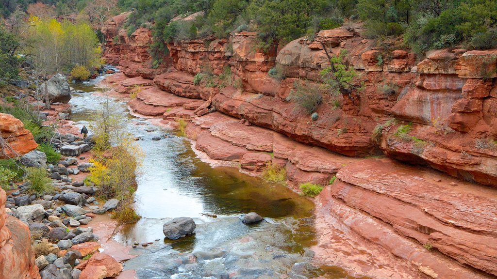 Slide Rock State Park which includes a river or creek, a gorge or canyon and landscape views