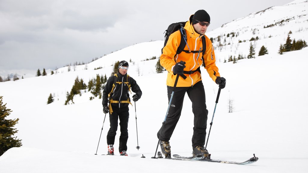 Mount Norquay Ski Resort caracterizando neve, esqui cross-country e montanhas