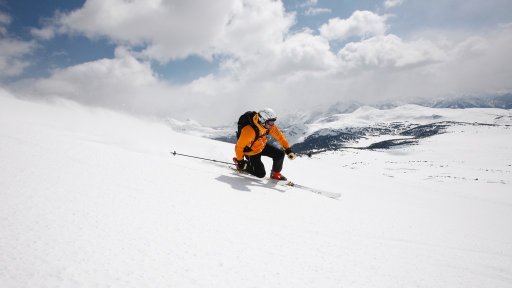 Mount Norquay Ski Resort which includes snow skiing, mountains and snow