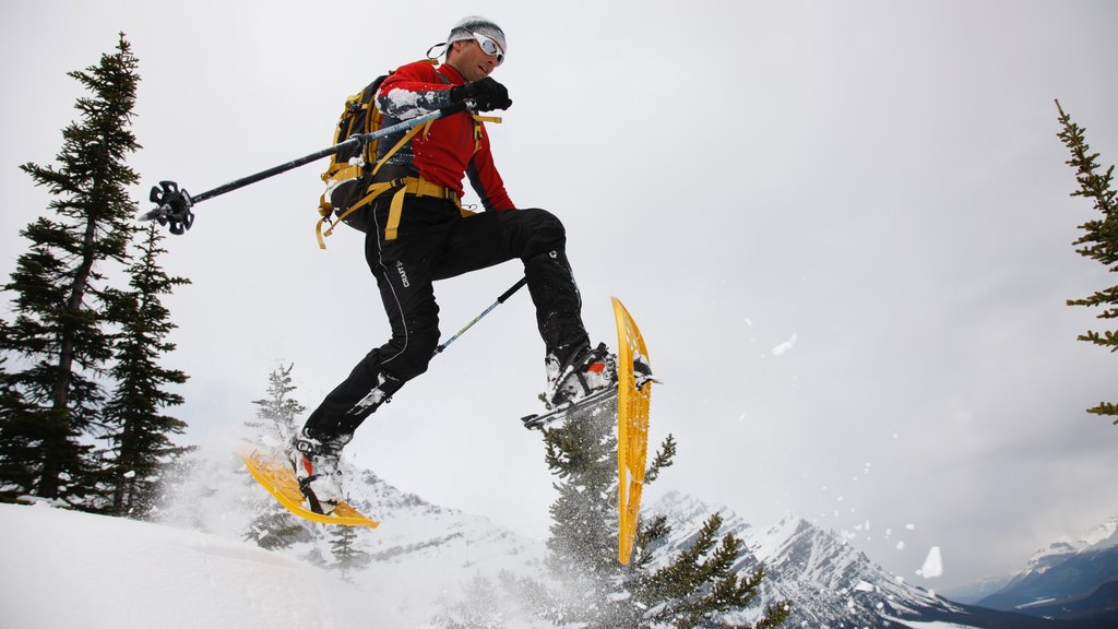 Mount Norquay Ski Resort mostrando raquetas de nieve y nieve y también un hombre