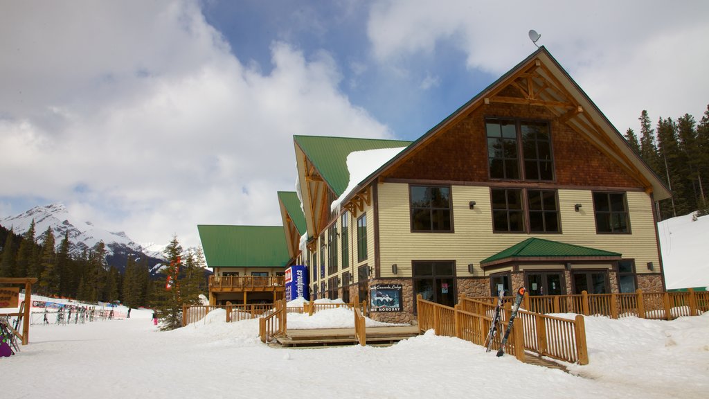 Mount Norquay Ski Resort showing snow and a luxury hotel or resort