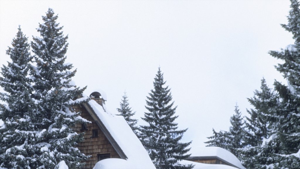 Avoriaz Ski Resort showing snow