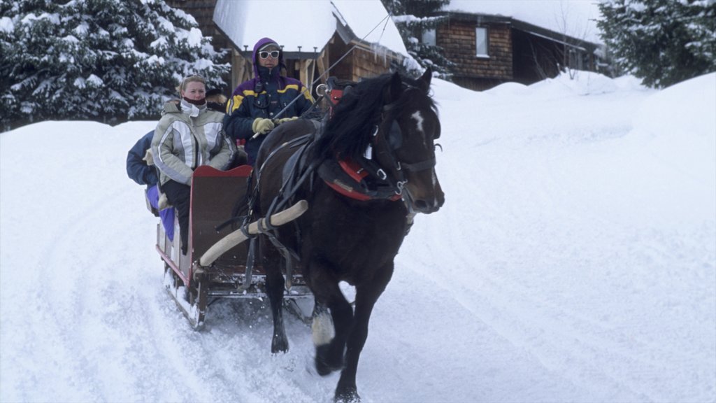 Avoriaz-skistedet som viser sne og ridning