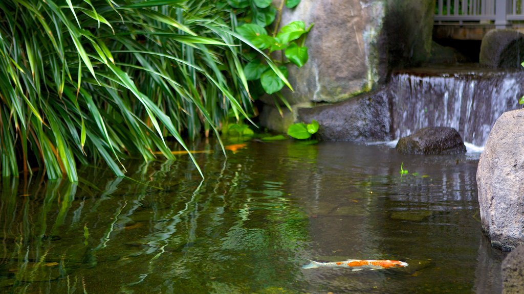 Jardín botánico y área de conservación Franklin Park mostrando vida marina, un estanque y un parque