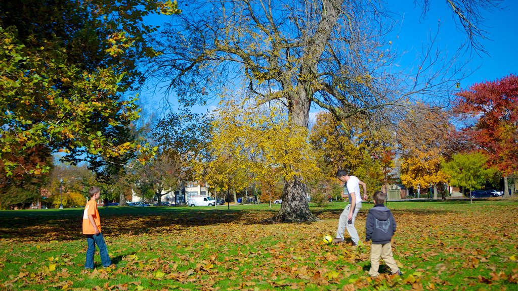 Schiller Park featuring a park and autumn leaves as well as a family