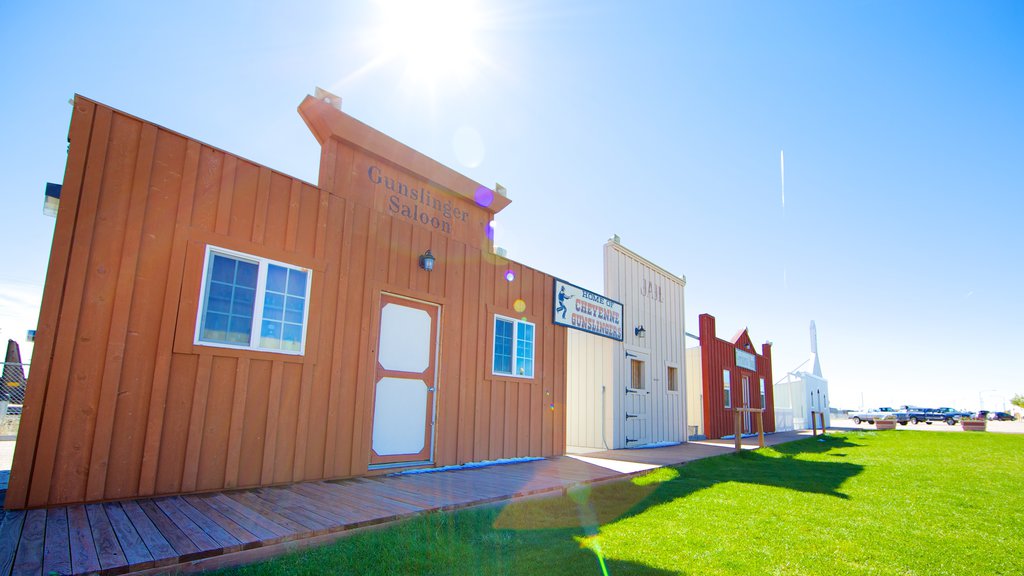 Cheyenne showing a cemetery