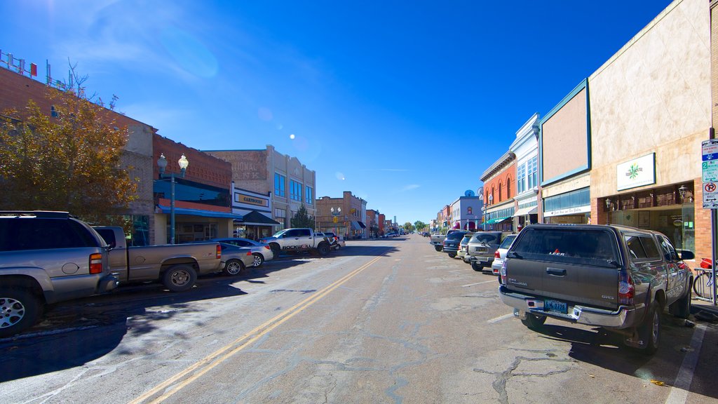 Laramie which includes a small town or village and street scenes