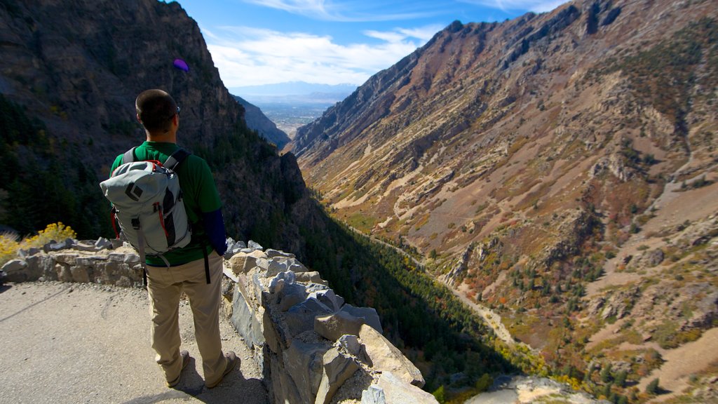 Timpanogos Cave National Monument which includes mountains, hiking or walking and views