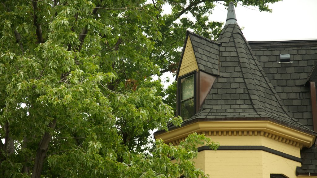 Foggy Bottom showing heritage elements and a house