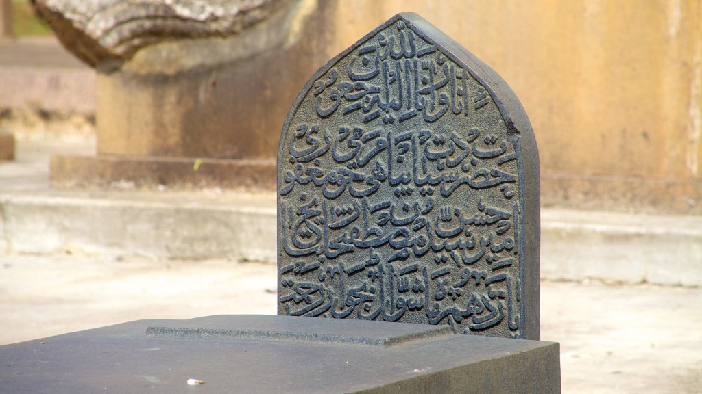 Qutub Shahi Tombs showing a memorial and a cemetery