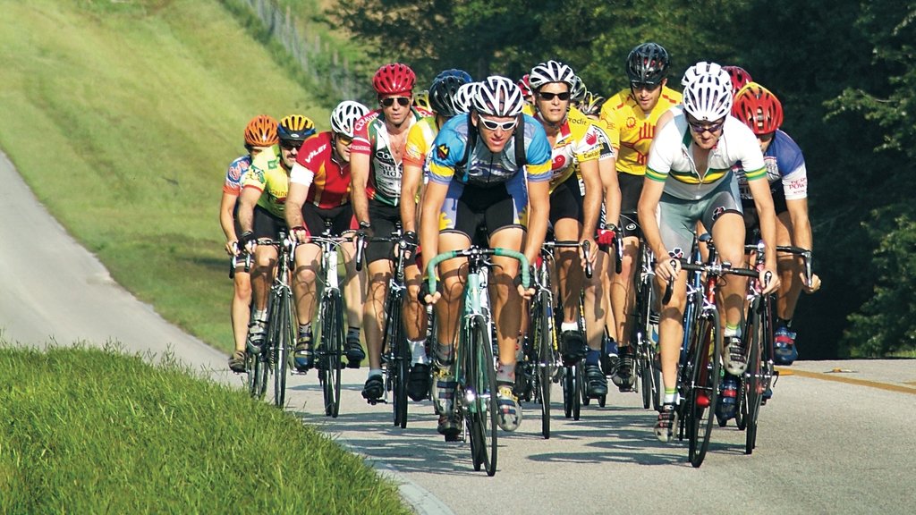 Gainesville showing a sporting event and road cycling as well as a large group of people