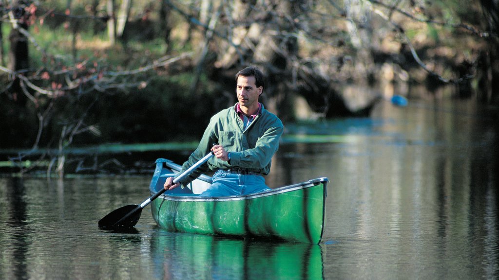 Gainesville mostrando kayak o canoa y un río o arroyo y también un hombre