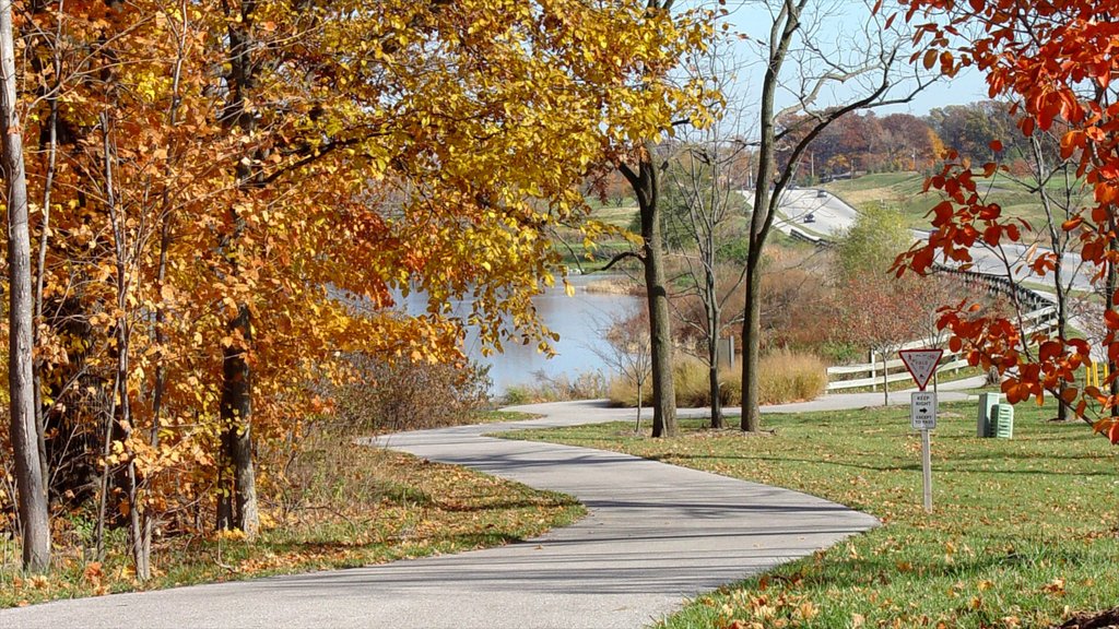 Lafayette que incluye los colores del otoño, un parque y escenas tranquilas