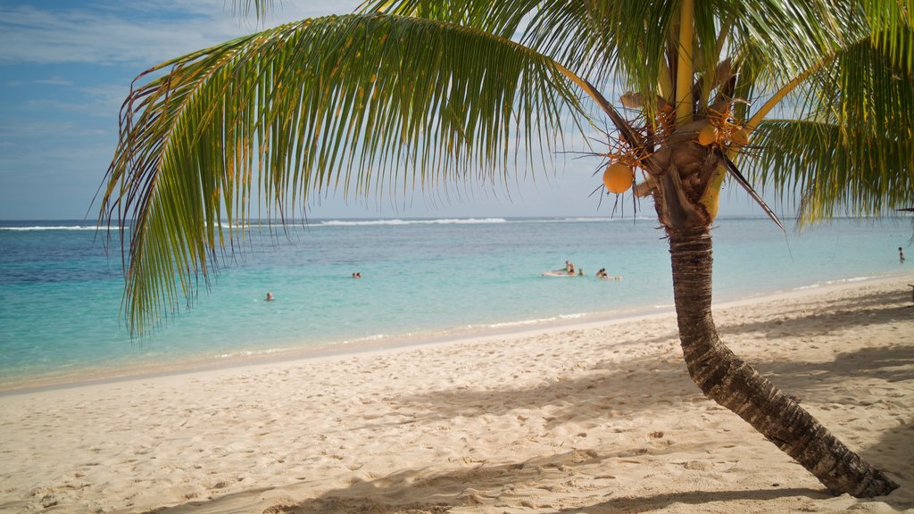 Upolu que incluye natación, escenas tropicales y una playa