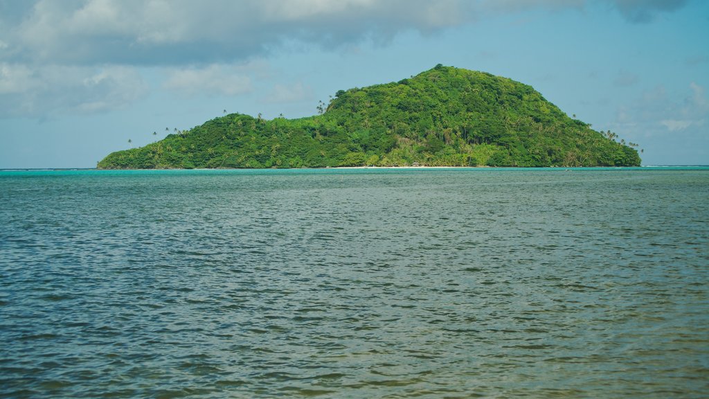 Upolu que incluye vista panorámica, imágenes de una isla y vista general a la costa