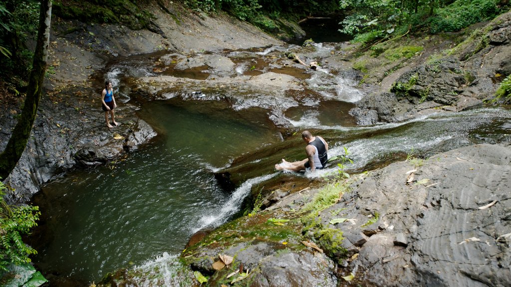 Upolu featuring rainforest and a river or creek as well as a couple