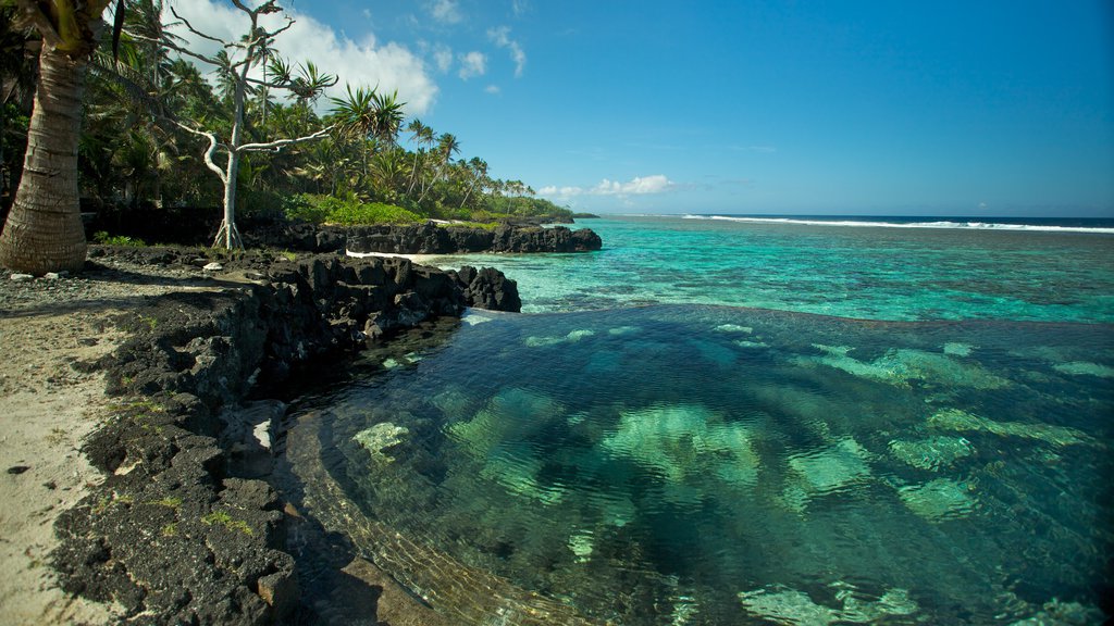 Upolu showing colourful reefs, tropical scenes and rocky coastline