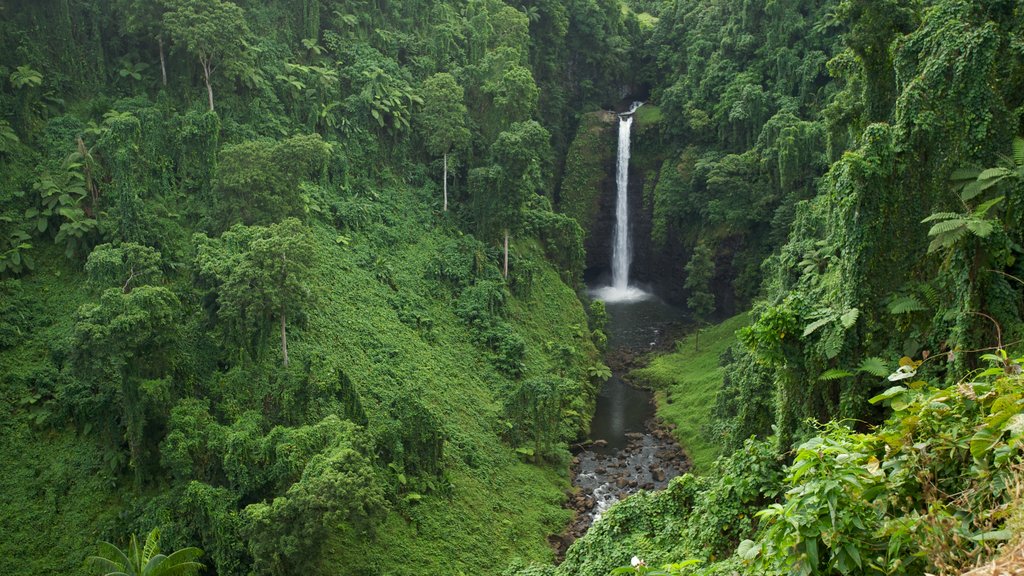 Upolu ofreciendo selva, una cascada y un río o arroyo