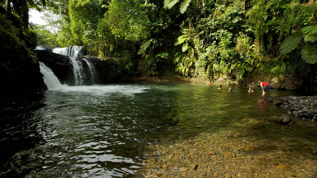 Upolu which includes rainforest, a river or creek and a cascade