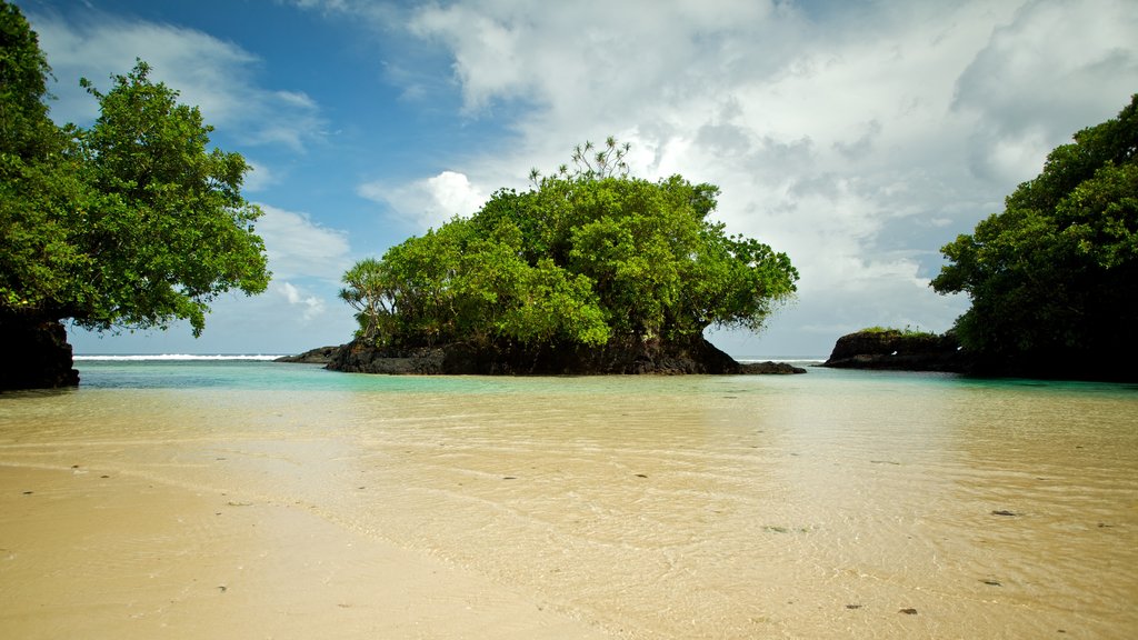 Upolu caracterizando uma praia de areia, mangues e cenas tropicais