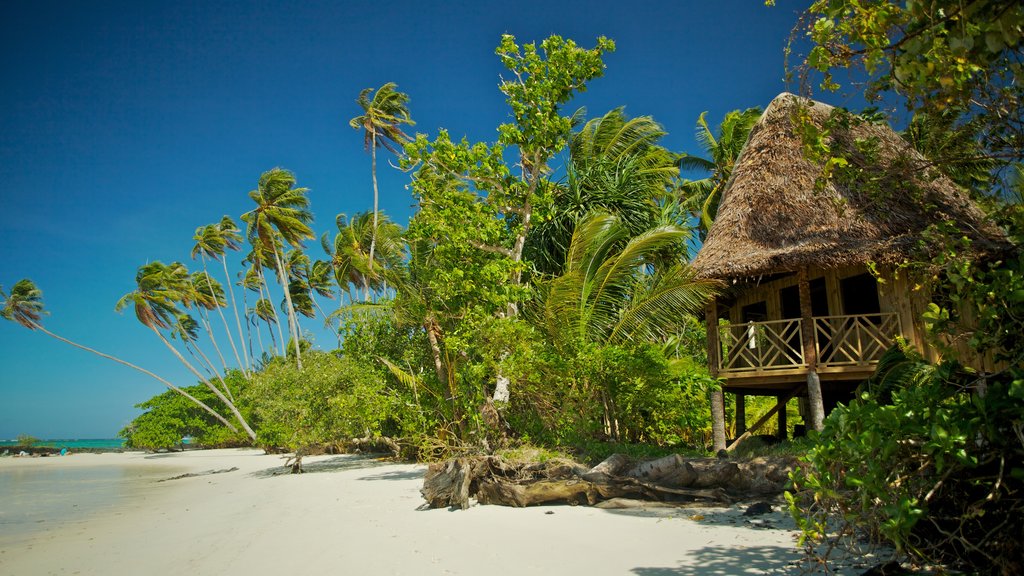 Upolu which includes a beach and tropical scenes