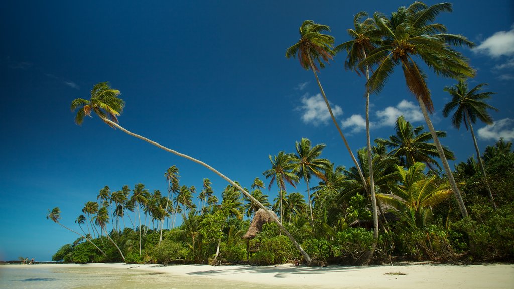 Upolu which includes tropical scenes and a beach