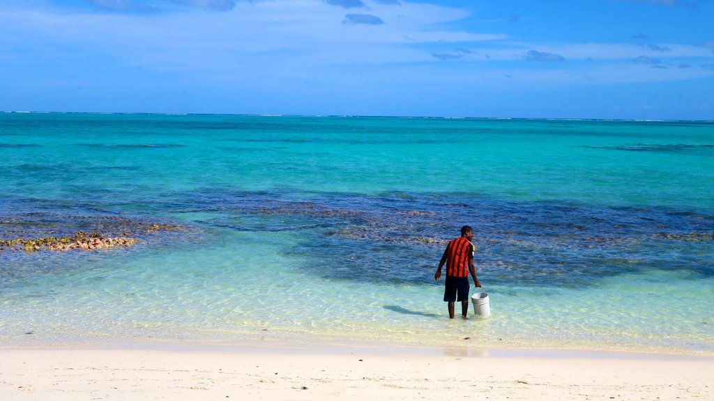 Conch Bar ofreciendo una playa y escenas tropicales y también un hombre