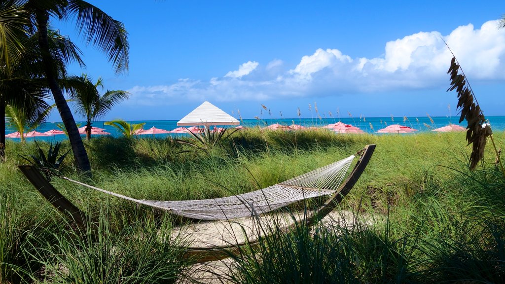 Grace Bay which includes tropical scenes and general coastal views