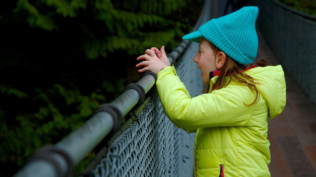 Capilano Suspension Bridge featuring a suspension bridge or treetop walkway as well as an individual child