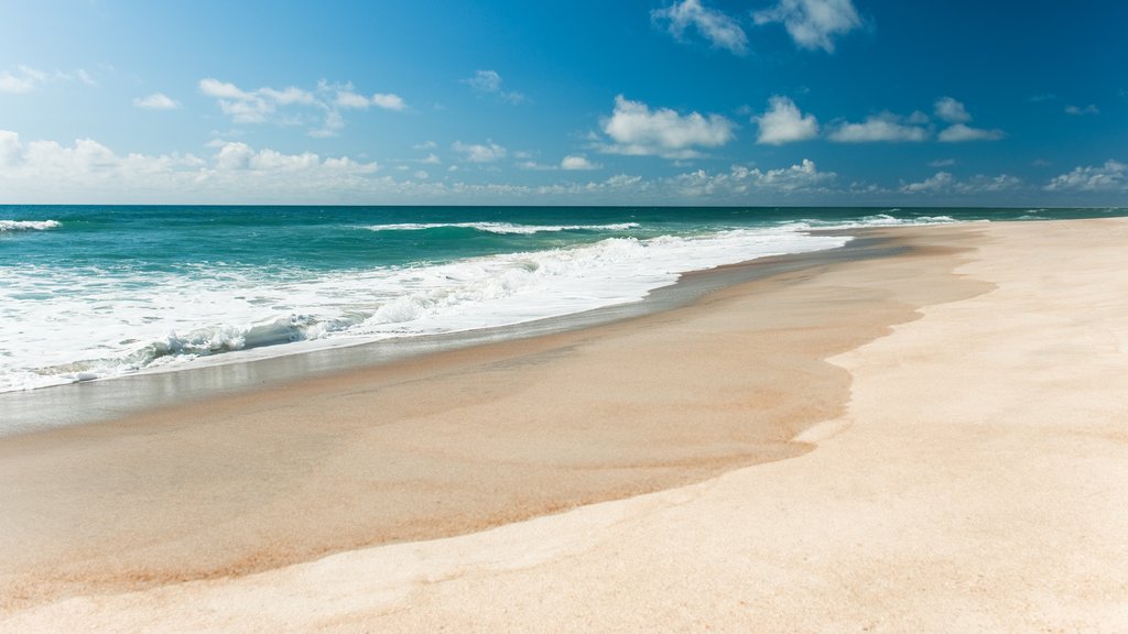 Morehead City which includes a sandy beach