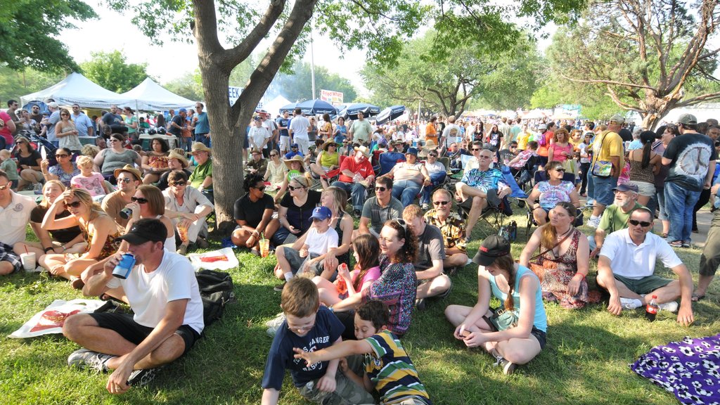 Denton ofreciendo un festival y un parque y también un gran grupo de personas