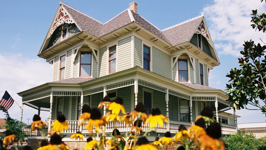 Denton showing heritage elements, a house and flowers