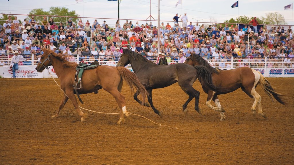 Denton which includes performance art and land animals as well as a large group of people