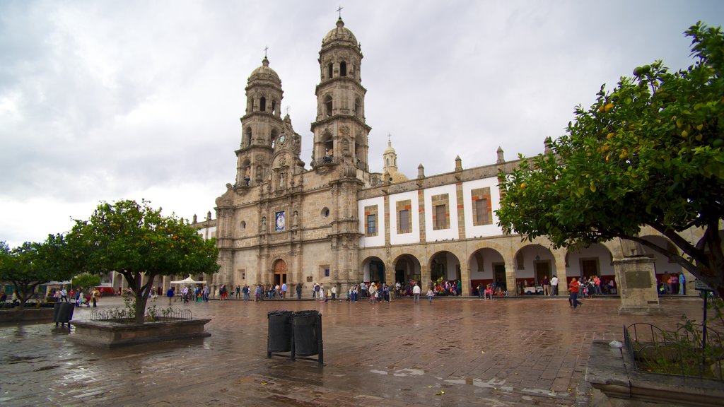 Basílica de Zapopan mostrando un parque o plaza, patrimonio de arquitectura y una iglesia o catedral