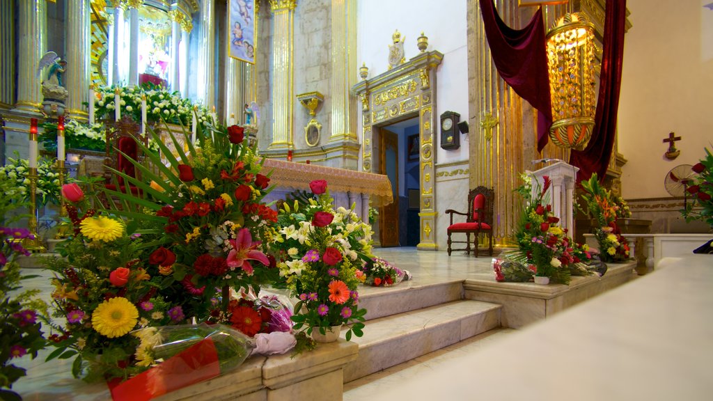 Basilica de Zapopan mostrando vistas internas, uma igreja ou catedral e flores