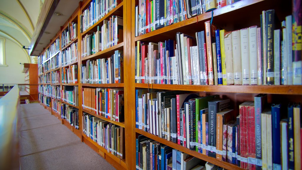 Biblioteca Octavio Paz mostrando un edificio administrativo y vista interna