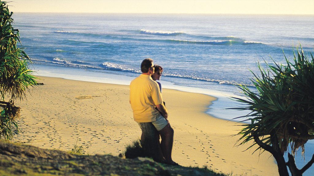 Coolum Beach featuring a sunset and a sandy beach as well as a couple