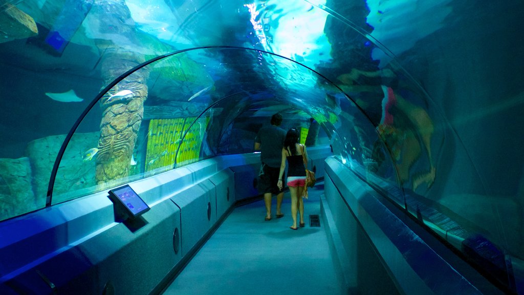 Underwater World Sea Life which includes marine life and interior views as well as a couple