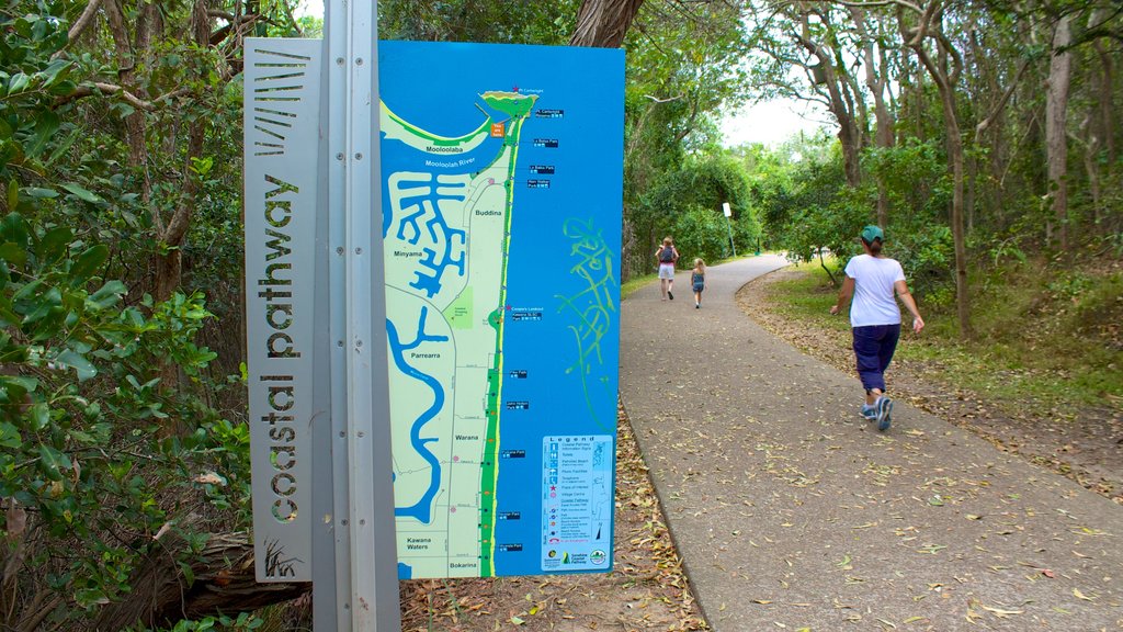 Mooloolaba showing hiking or walking, signage and a park