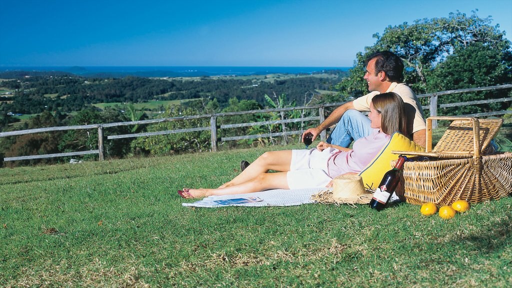 Mapleton showing picnicking and tranquil scenes as well as a couple