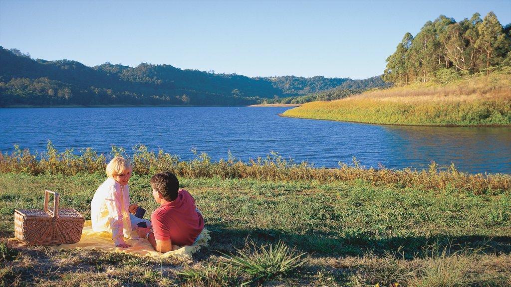 Maleny mostrando picnic, escenas tranquilas y un lago o espejo de agua