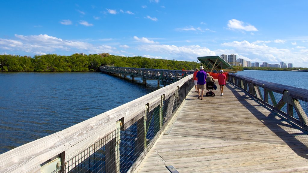 Parque Estatal John D. MacArthur Beach que incluye vistas de una costa y un puente y también una familia